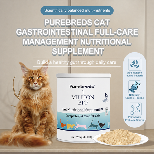 Purebreds Daily Probiotic Gut Support for Cats
