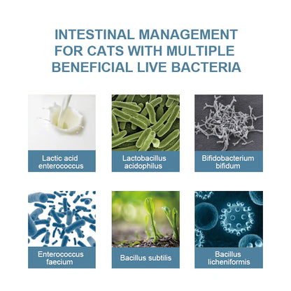 Purebreds Daily Probiotic Gut Support for Cats