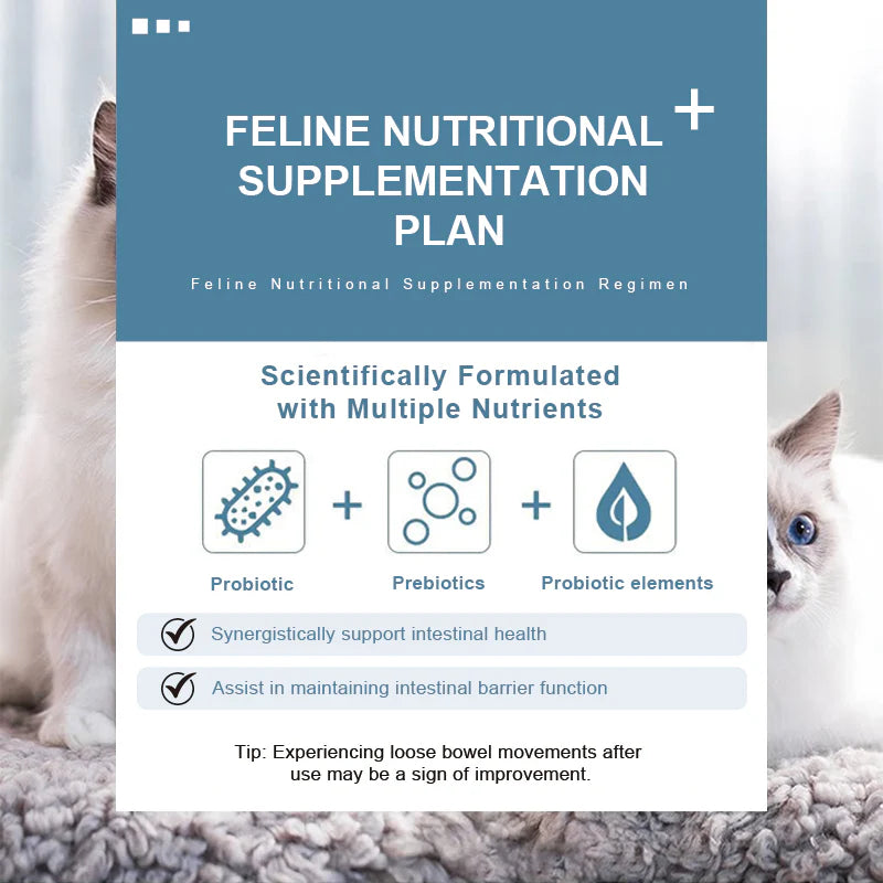 Purebreds Daily Probiotic Gut Support for Cats