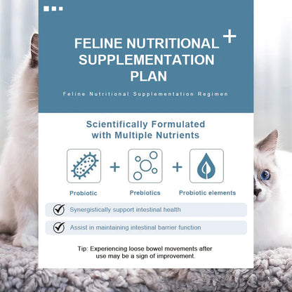 Purebreds Daily Probiotic Gut Support for Cats