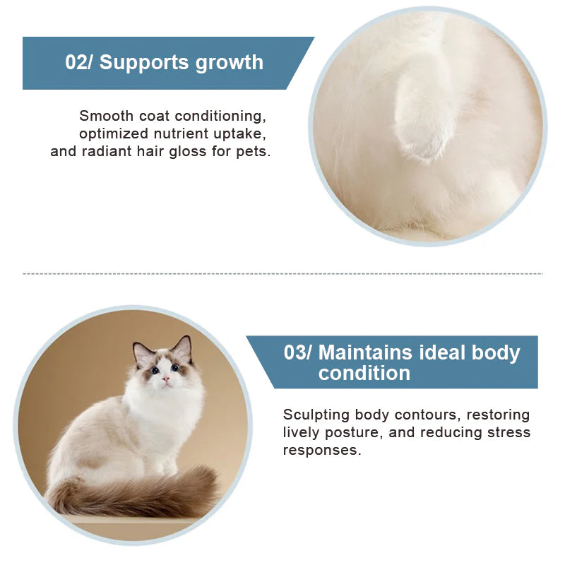 Purebreds Daily Probiotic Gut Support for Cats
