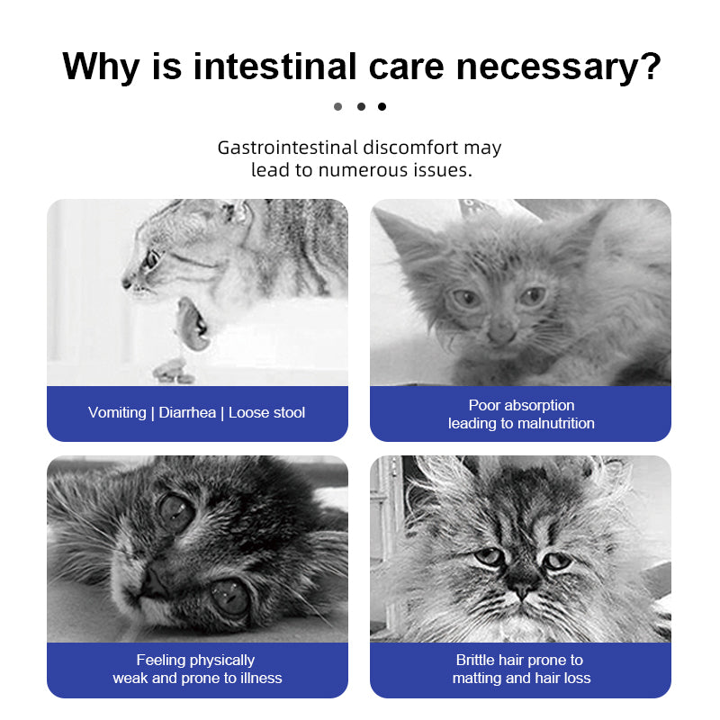 Purebreds Daily Digestive Care Cat Food
