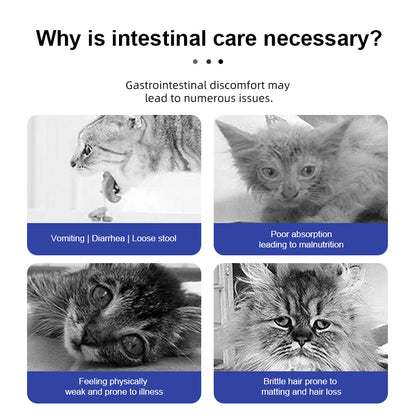Purebreds Daily Digestive Care Cat Food